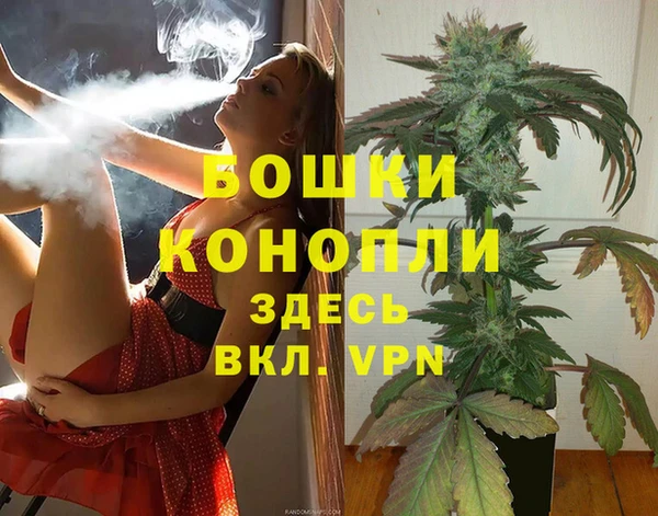 гашик Вязники