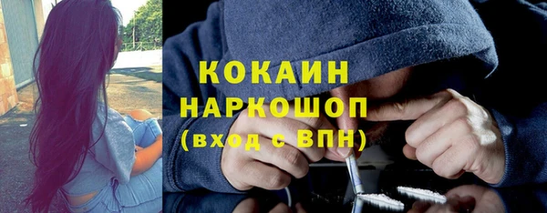 гашик Вязники