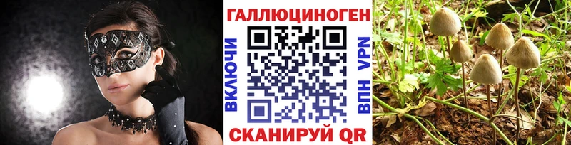 Галлюциногенные грибы мухоморы  Купить закладки  Советский 